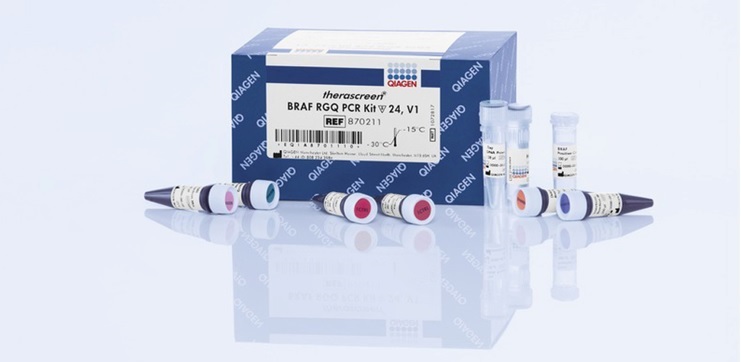 therascreen BRAF RGQ PCR Kit